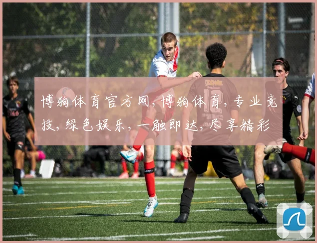 博狗体育官方网,博狗体育,专业竞技,绿色娱乐,一触即达,尽享精彩
