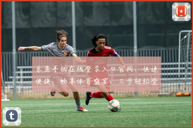 乐鱼手机在线登录入口官网，快速便捷，畅享体育盛宴，三步轻松登录，体验非凡