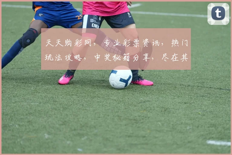 天天购彩网，专业彩票资讯，热门玩法攻略，中奖秘籍分享，尽在其中，不容错过